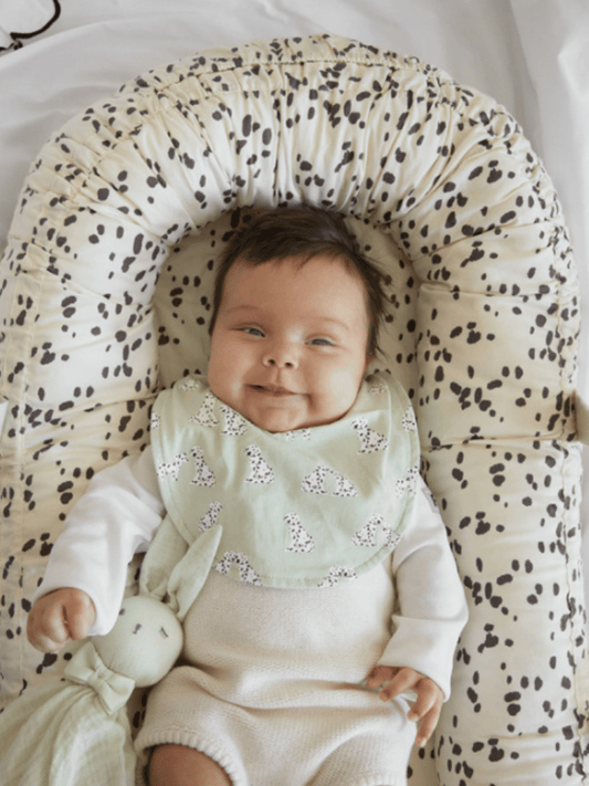 Dalmatian Dreams Bib